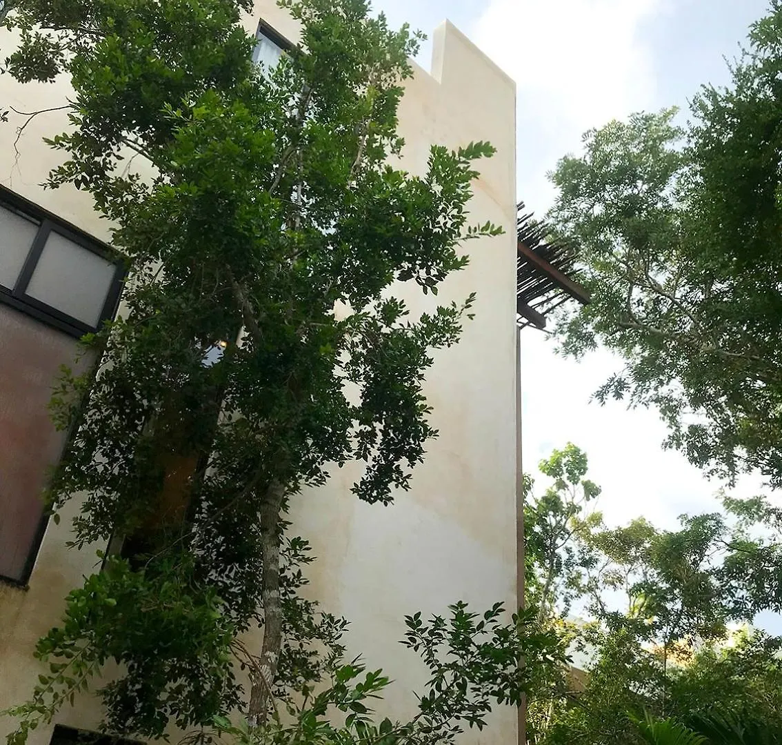Tulum Jungle Penthouse Private Rooftop Pool Wifi Balcheil Apartment